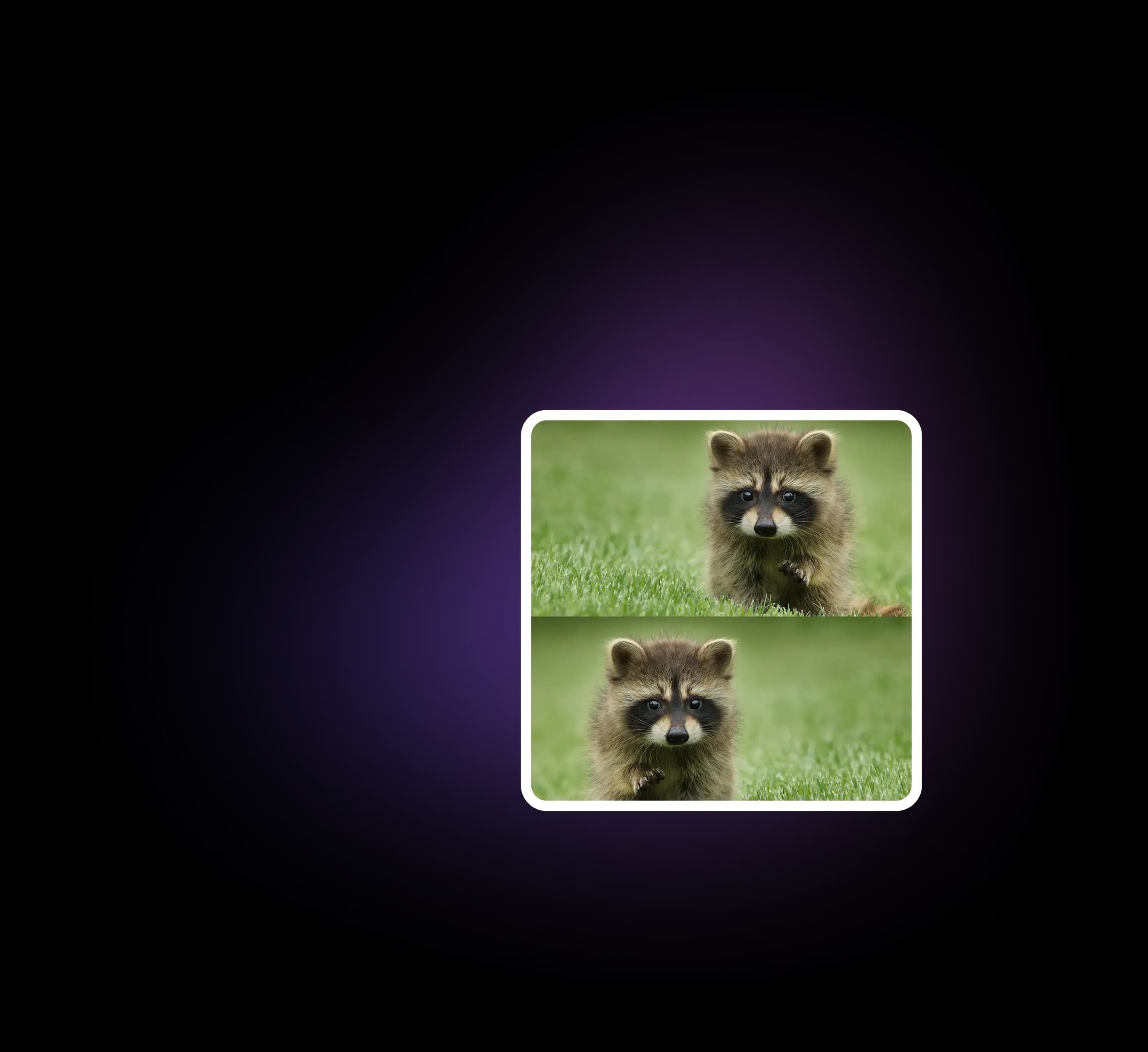 Mirror image horizontally