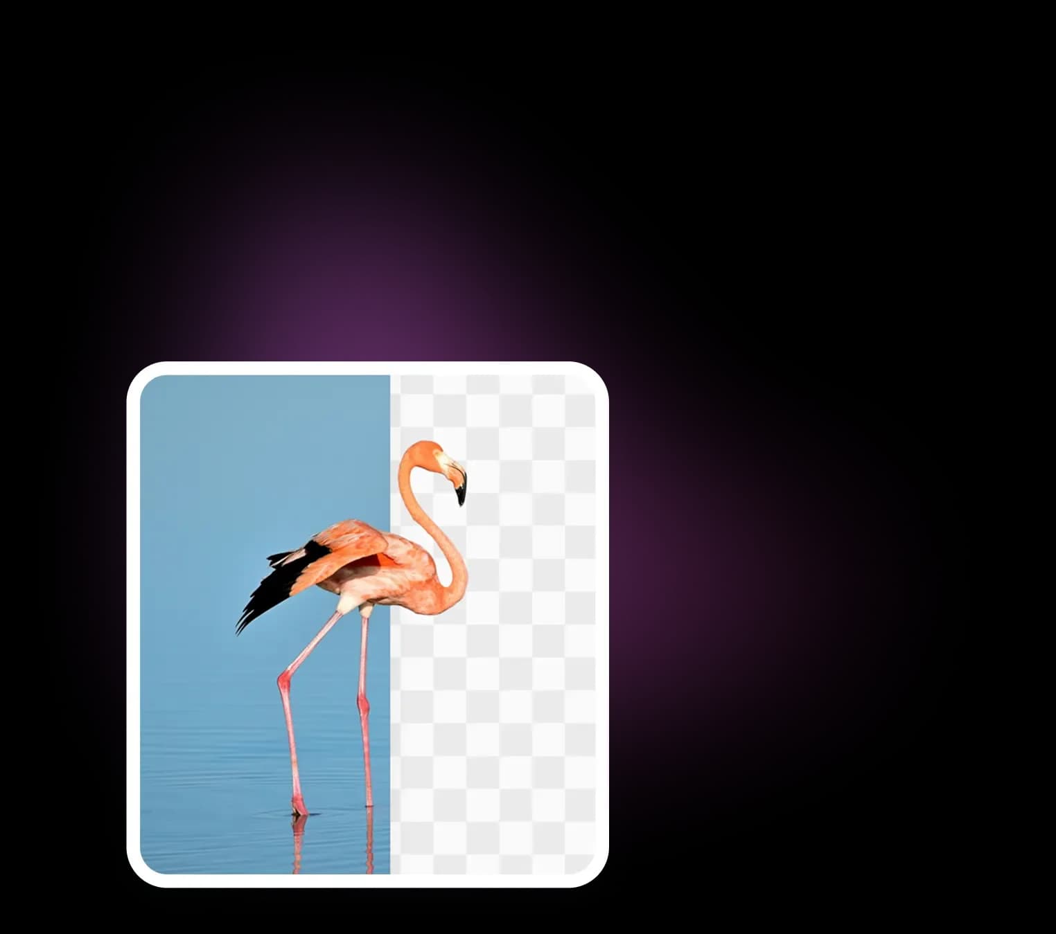 Remove Objects from Photos in Seconds