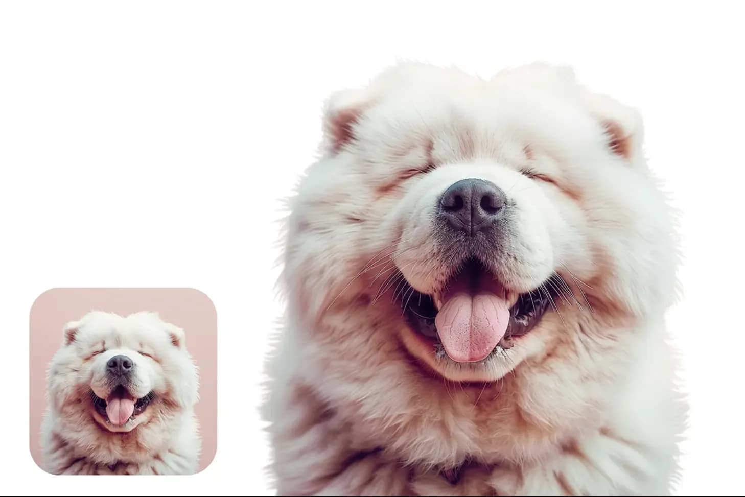 removes background from PNG images
