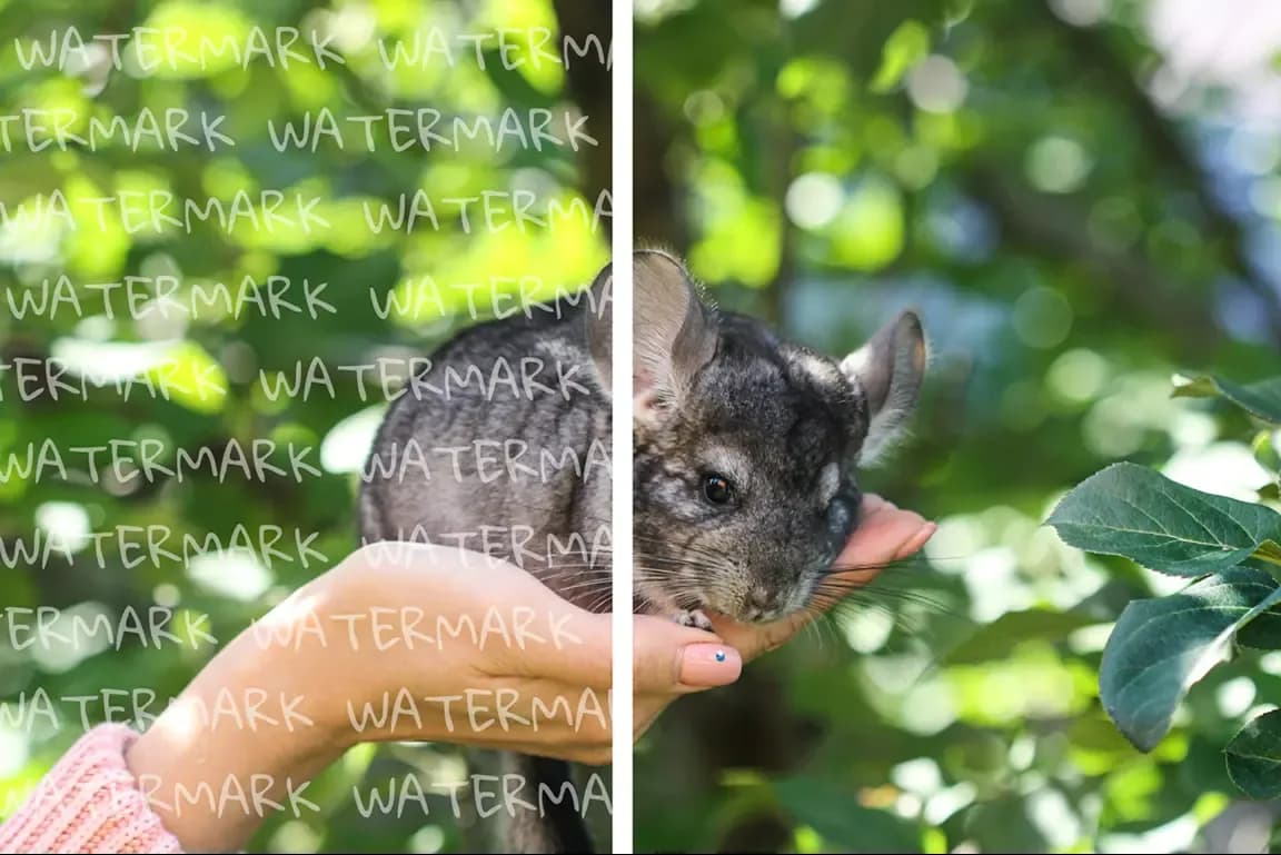 Remove unwanted items photo