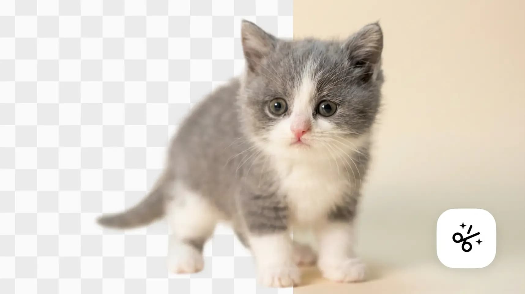 Enhance photo using AI