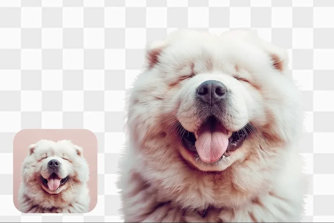 AI transparent PNG maker