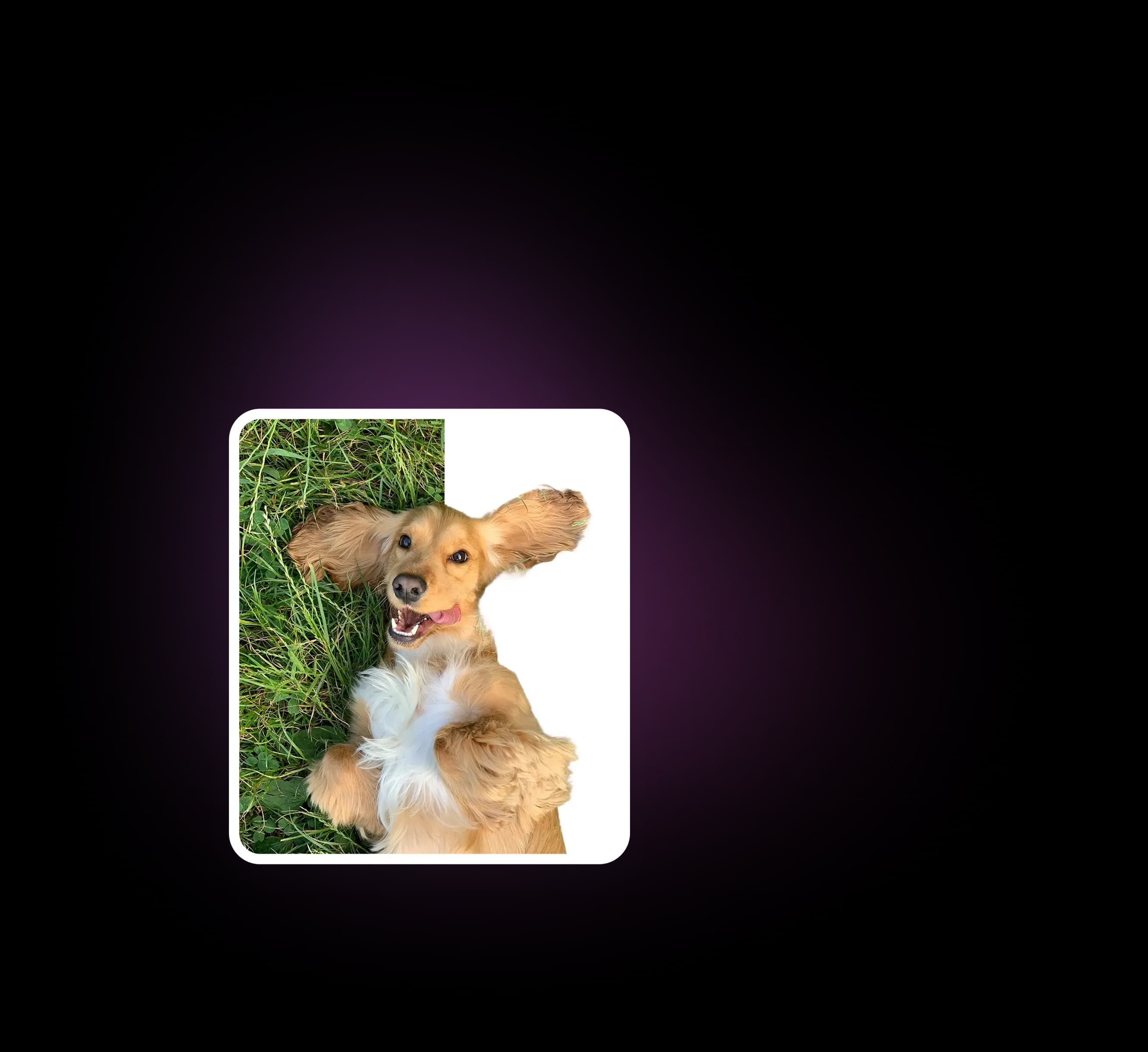 Change Photo Background to White