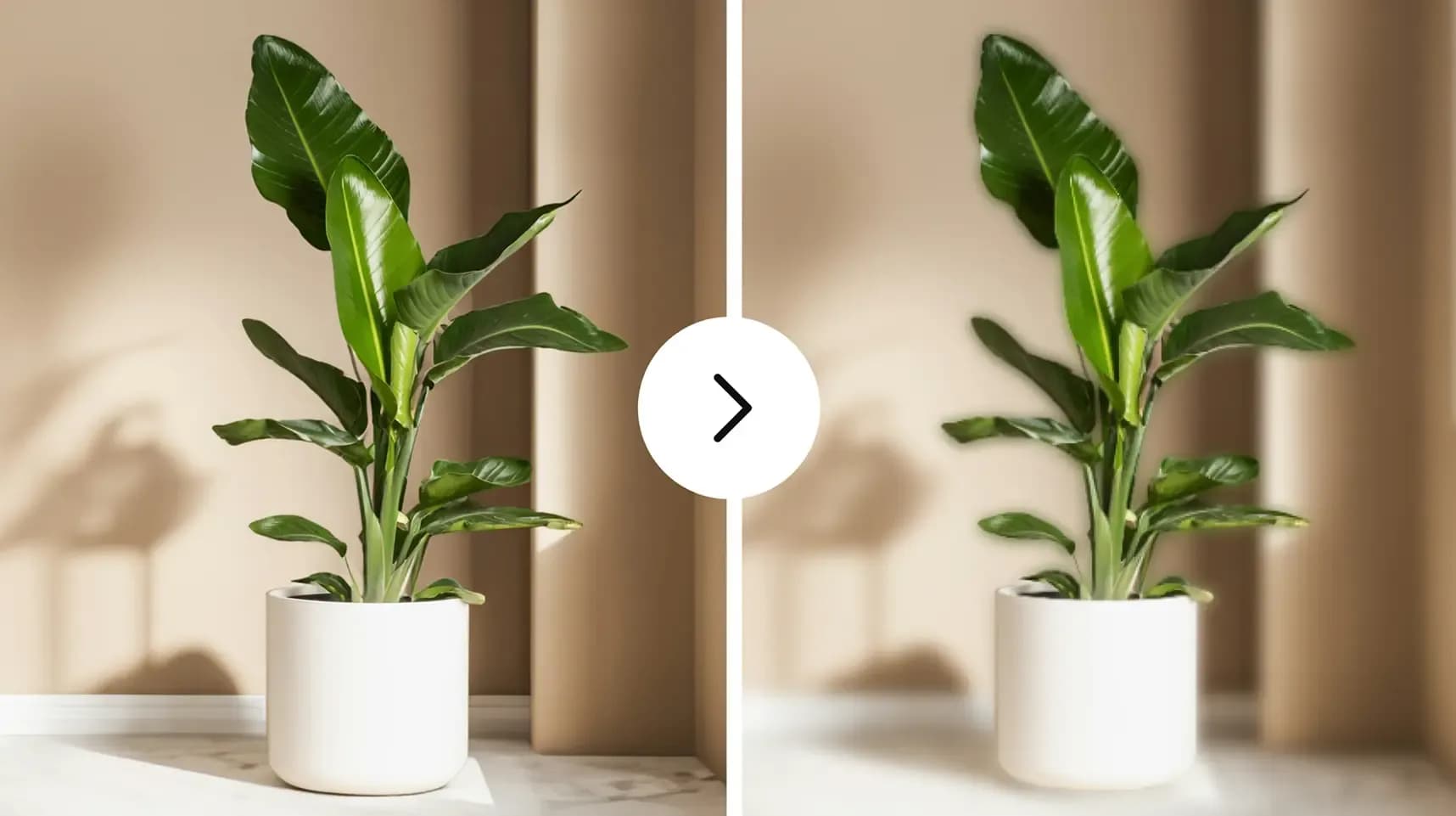 Online background blur tool